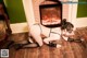 A woman in lingerie and stockings kneeling on the floor in front of a fireplace.